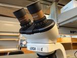 Used Leica CME Binocular Compound Microscope - ITEM #:620224 - Img 6 of 7