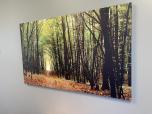Used Artwork - Path Through Light Forest - ITEM #:860125 - Img 2 of 2