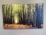 Used Gallery-Wrapped Wall Art - Sunlit Autumn Forest Path Landscape - ITEM #:860125 - Img 1 of 2